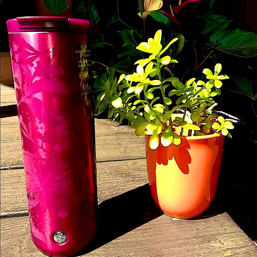 ❤️New Fall 2021 Starbucks Plum Floral SS Tumbler - Picture 6 of 6